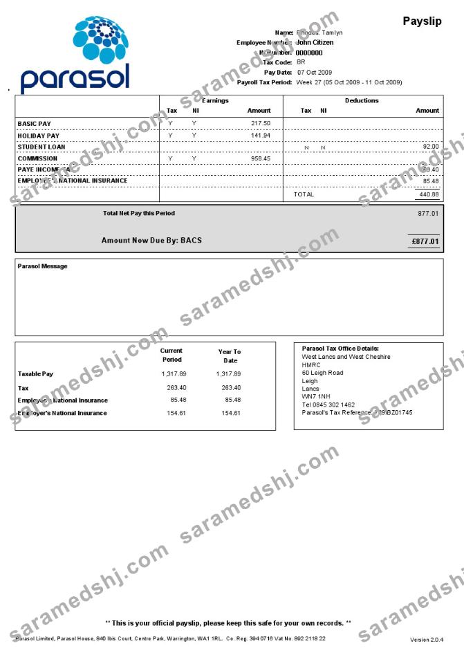 PARASOL Limited paystub in Word and PDF formats